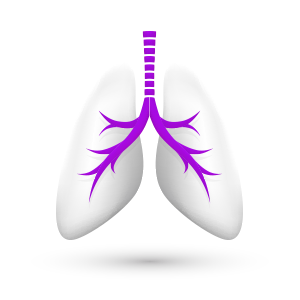 Área Respiratória - Área Terapêutica - Viatris